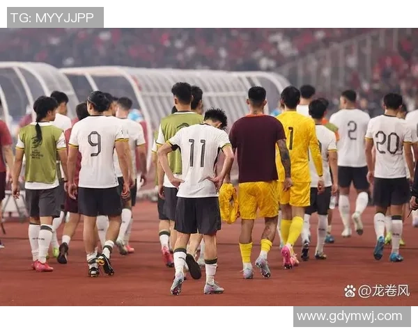 赛后分析:深圳足球队与武汉足球队在比赛中的速度对比与战术探讨